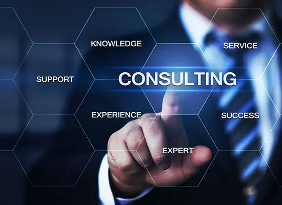 ERP Consultation and Ongoing Support
